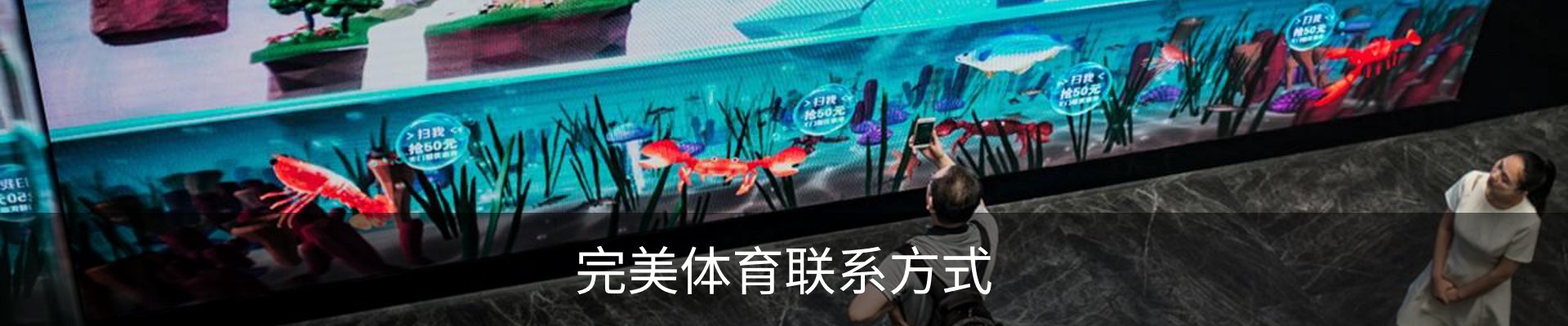 完美体育联系方式